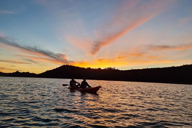 Bioluminescence Kayak Tour - Est. 1994 - Guest Reviews