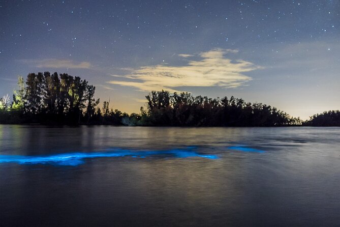 Bioluminescent Clear Kayak Tours in Titusville - Booking Information
