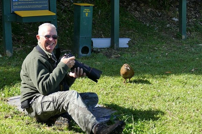 Bird Watching and Dolphin Eco-Tour From Picton - Booking Information