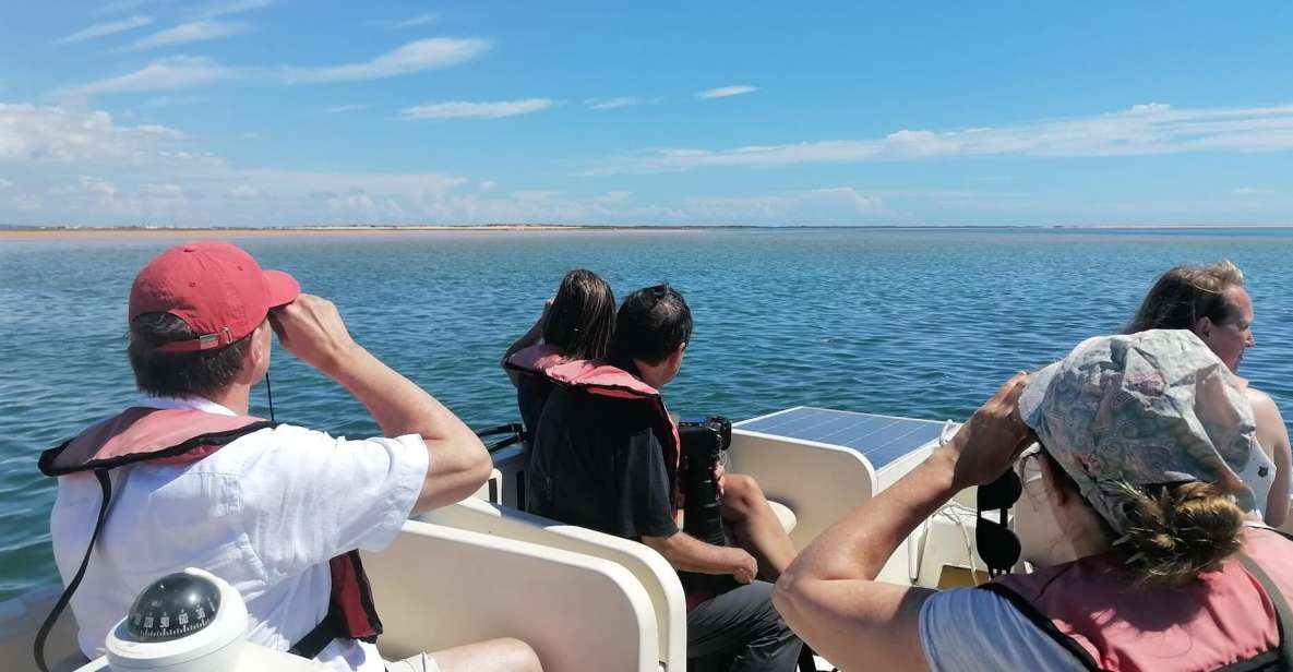 Birdwatching in Ria Formosa: Eco Boat Tour From Faro - Location & Departure