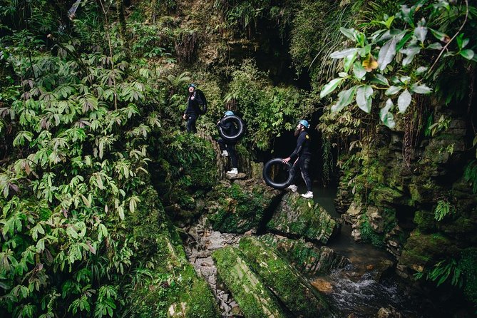 Black Labyrinth: Black Water Rafting - Private Tour From Auckland - Reviews and Pricing