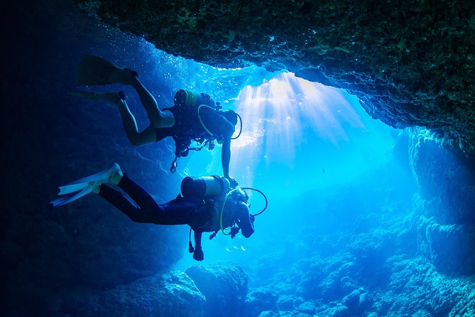 Blue Cave Experience Diving [Charter System / Boat Holding] I Am Very Satisfied With the Beautiful - Reviews and Feedback