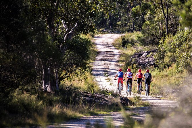 Blue Labyrinth PRIVATE Tour: Sydney Blue Mountains by E-Bike - Inclusions and Safety