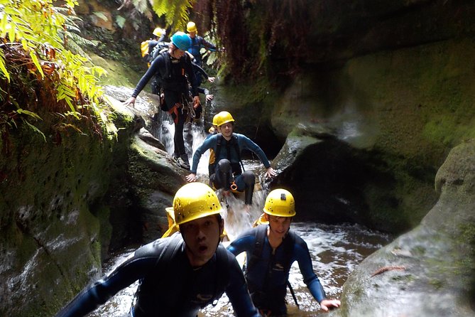 Blue Mountains and Empress Canyon Abseiling Adventure Tour (Mar ) - Traveler Expectations and Requirements