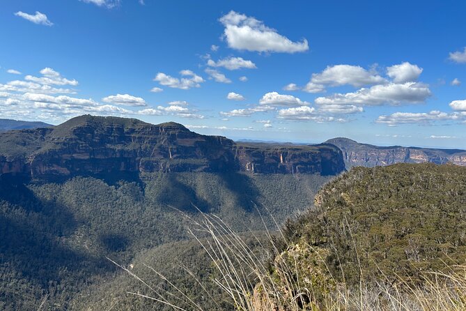 Blue Mountains Full Day Guided Tour - Lunch at Royal Hotel