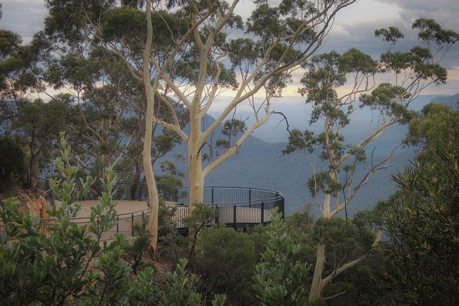 Blue Mountains Private Charter - Customer Reviews Overview