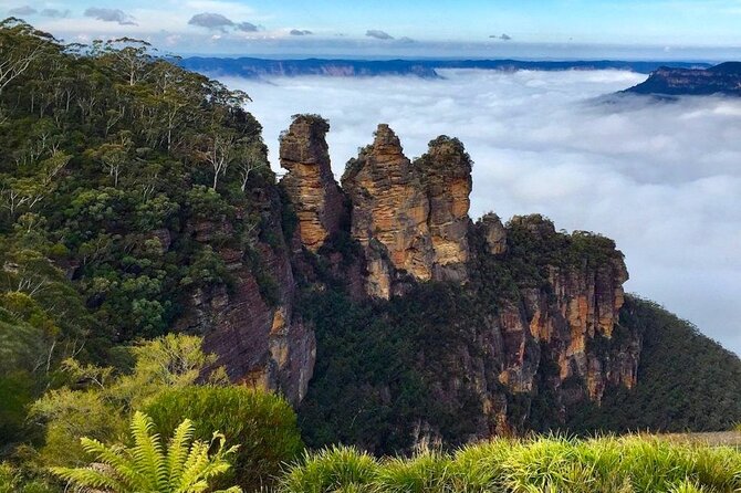 Blue Mountains Private Tour From Sydney - Traveler Reviews