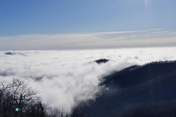 Blue Ridge Parkway Waterfalls Hiking Tour From Asheville - Customer Testimonials