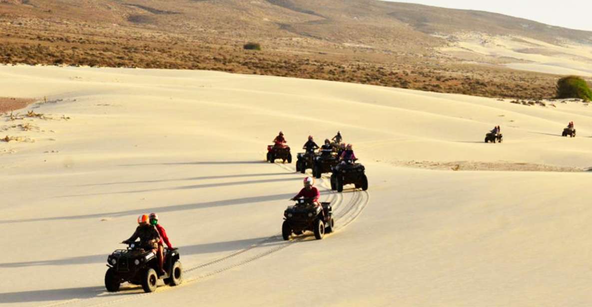 Boa Vista: Viana Desert Quad Bike Adventure - Top Review Ratings and Feedback