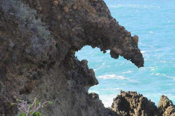 Boat Excursion to Visit Underwater Lava Tongues - Safety Guidelines