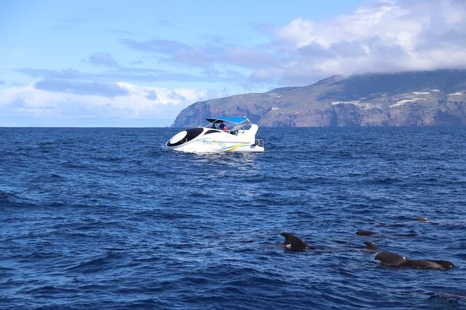 Boat Trip Along the Northwest Coast of La Palma - Last Words
