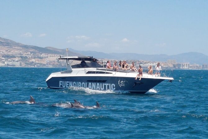 Boat Trip in Fuengirola, Dolphin Watching and Drinks - Customer Reviews and Ratings