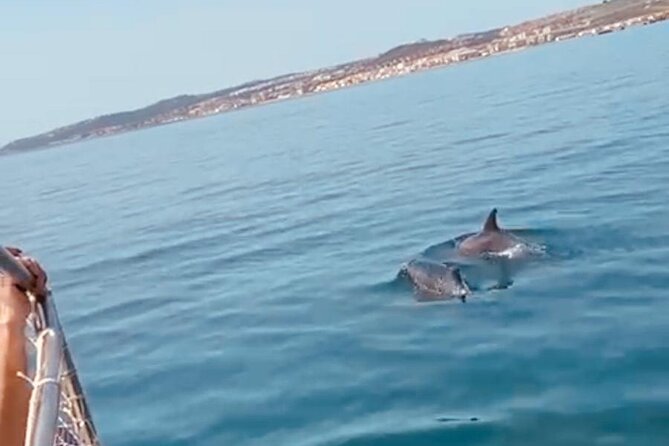 Boat Trip Through the Bay of Estepona Martingala - Additional Information and Support