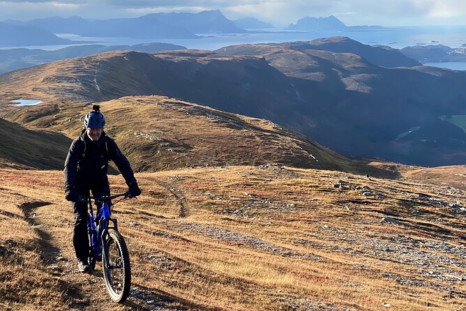 Bodø E-Bike Guided Ride  - Bodo - Cancellation Policy