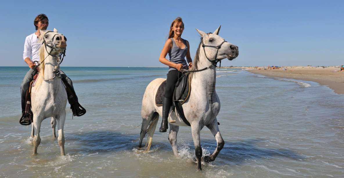 Bodrum: Horseback Riding Experience - Instructor and Reviews