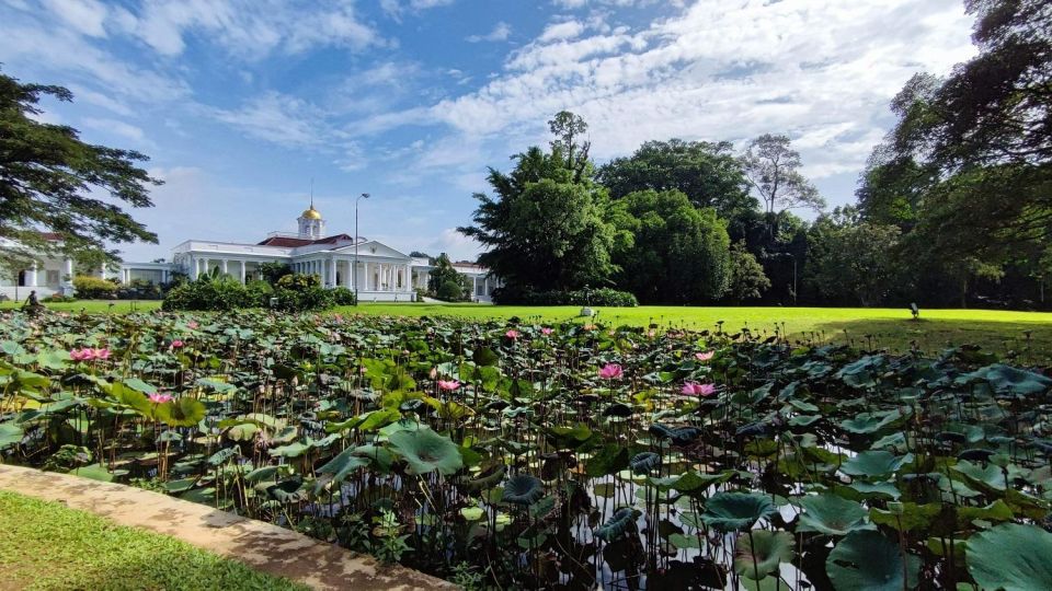 Bogor: Into The Wild Tour - Bogor Botanical Garden