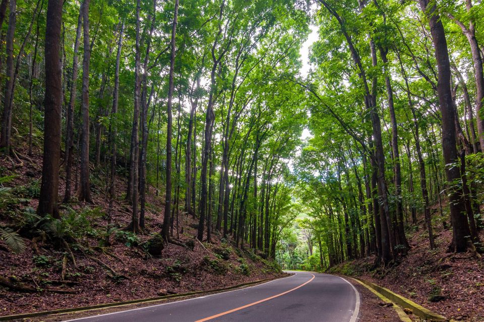 Bohol: Countryside Tour With Loboc (Buffet Lunch) - Cultural Highlights Visit