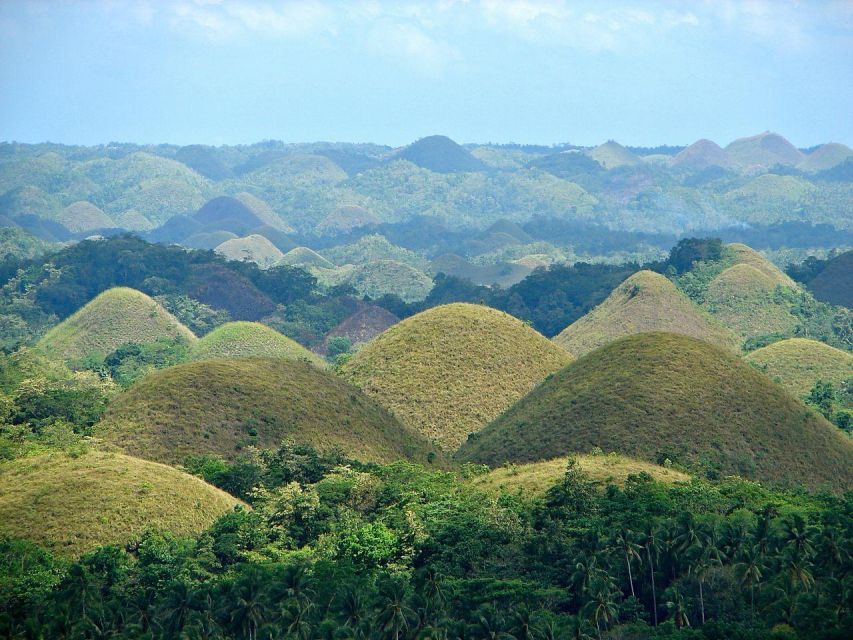 Bohol Day Tour From Cebu - Transportation and Logistics