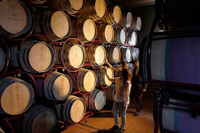 Bolgheri: Classic Wine Tasting With Winery Tour - Meeting Information