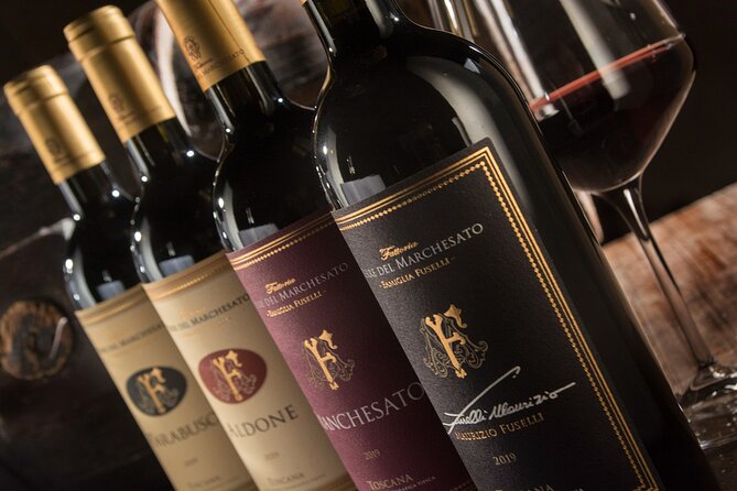 Bolgheri: Premium Wine Tasting With Winery Tour - Guided Vineyard Tour