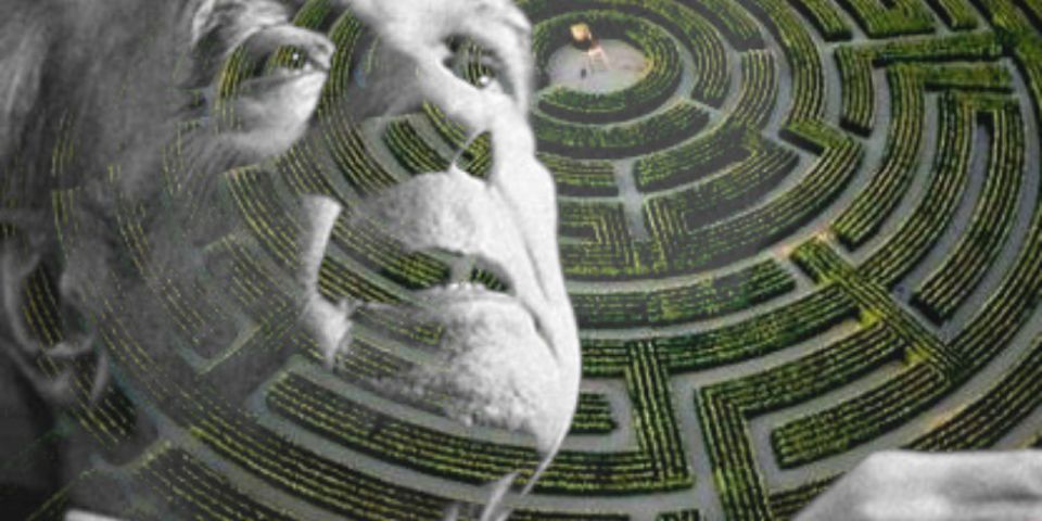 Borges Labyrinth and Winery: Lunch and Literary Workshop - Inclusions