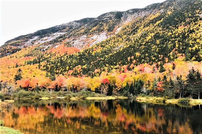 Boston to New Hampshire Fall Foliage White Mountains Day Trip - Customer Reviews