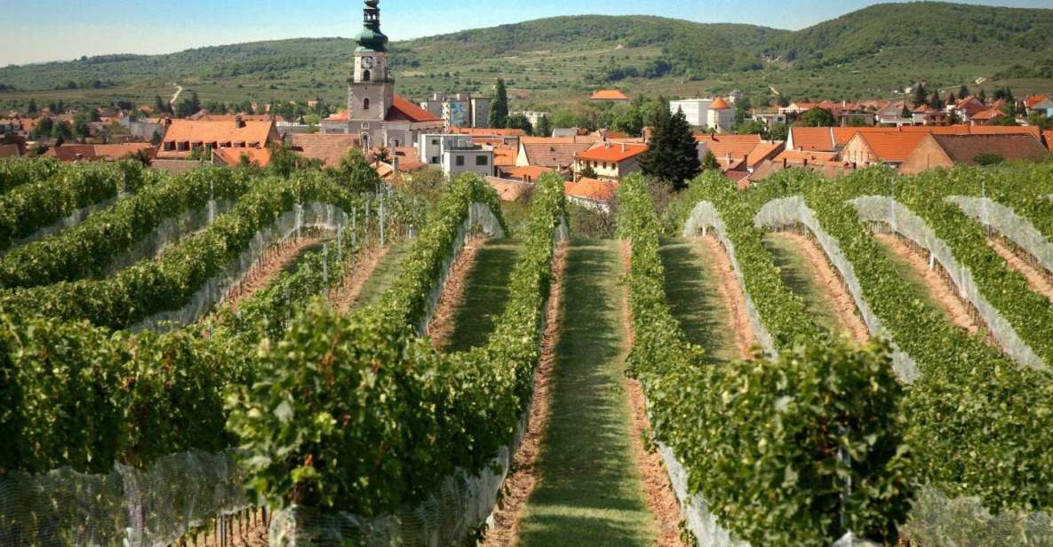 Bratislava: 6-Hour Carpathian Wine Tour and Tasting - Review Summary