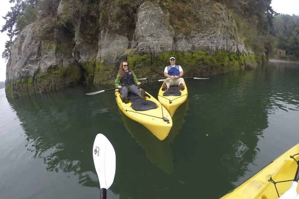 Brookings: Pacific Ocean Kayak Tour - Full Activity Description