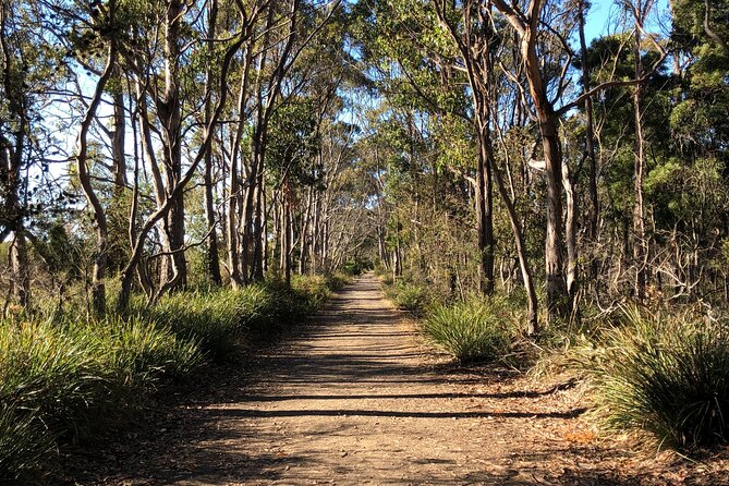 Bruny Island Nature and Tasting Active Day Tour - Cancellation Policy