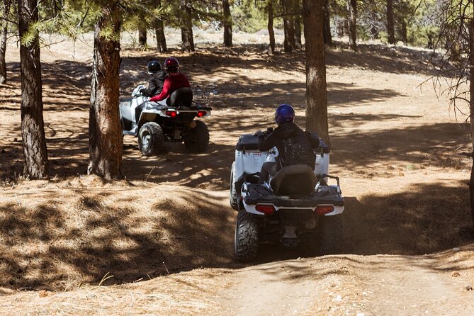 Bryce Canyon Small-Group Guided ATV Ride  - Bryce Canyon National Park - Expectations and Restrictions