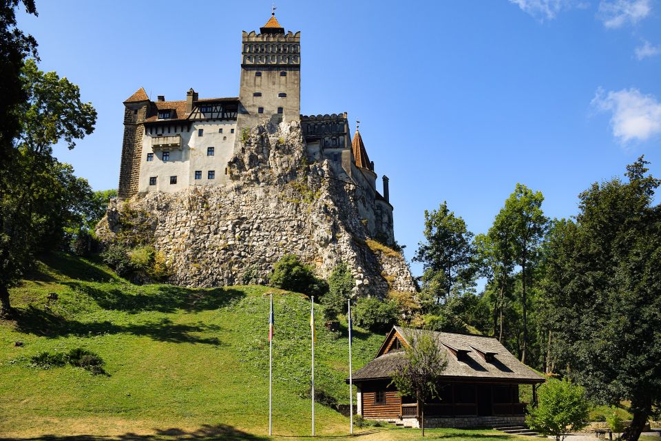 Bucharest: Libearty Sanctuary and Dracula's Castle Day Trip - Libearty Bear Sanctuary