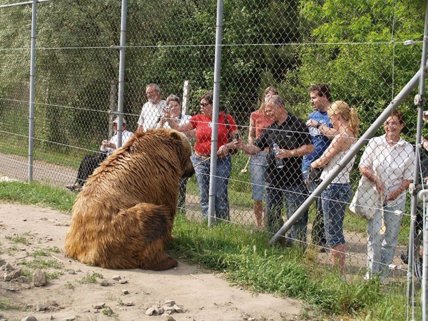 Budapest: Transport & Guided Tour of Bear and Wolf Sanctuary - Inclusions