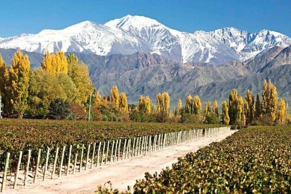 Buenos Aires: Mendoza Winery Day Trip With Lunch and Flights - Winery Options