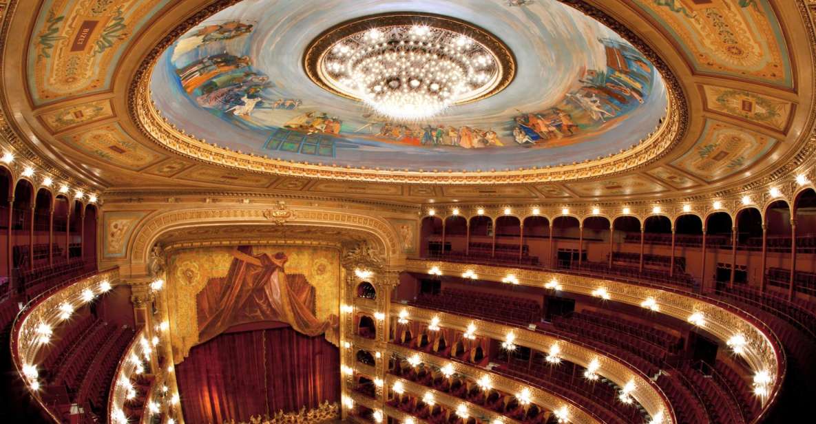 Buenos Aires: Walking City Tour With Colón Theater & Museums - Inclusions