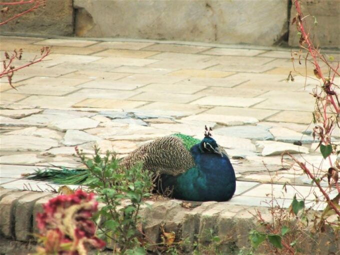 Bukhara Countryside Tour-Summer Residence & Nakshband Center - Activity Highlights