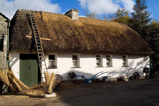 Bunratty Castle / Cliffs of Moher Experience - Additional Info