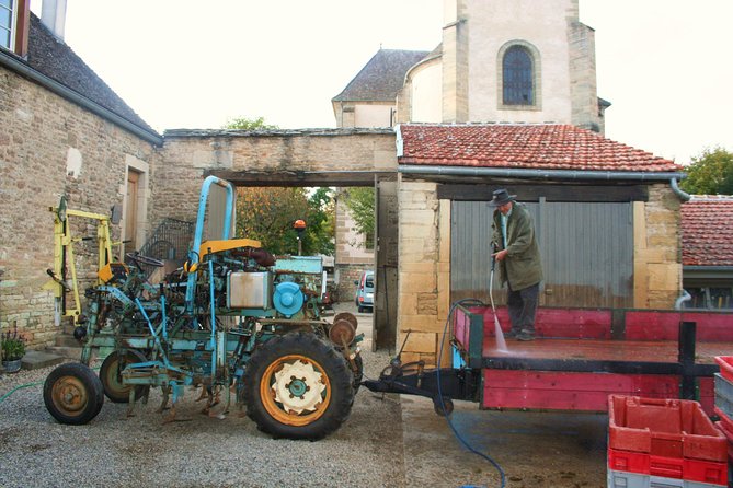 Burgundy Bike Tour With Wine Tasting From Beaune - Review Highlights