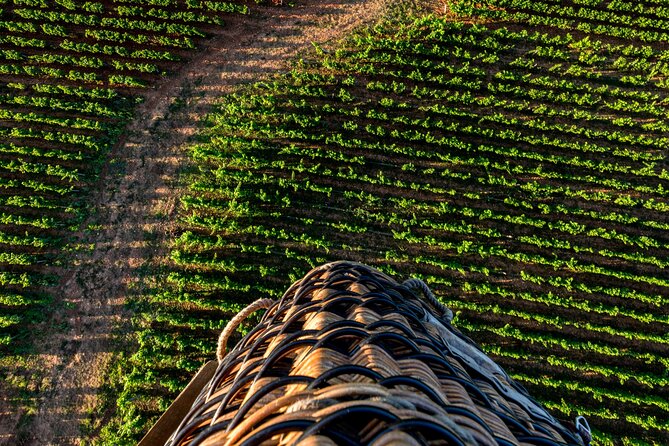 Burgundy Hot-Air Balloon Ride From Beaune - Experience Highlights