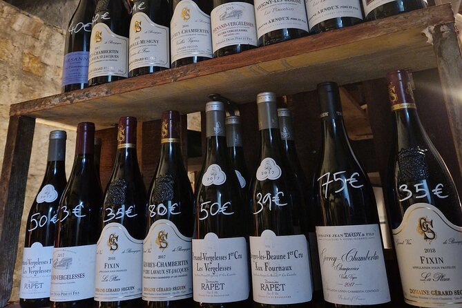 Burgundy Wines Masterclass in Dijon - Wine Tasting Experience
