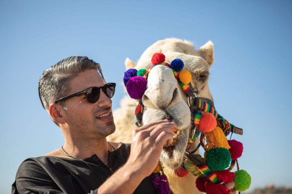 Cabo San Lucas: Half-day Guided Camel Safari Tour - Inclusions