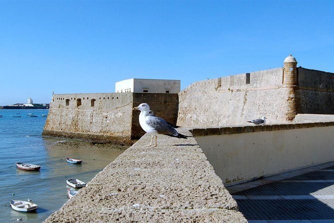Cadiz Private Walking Tour - Pickup and Private Tour Options