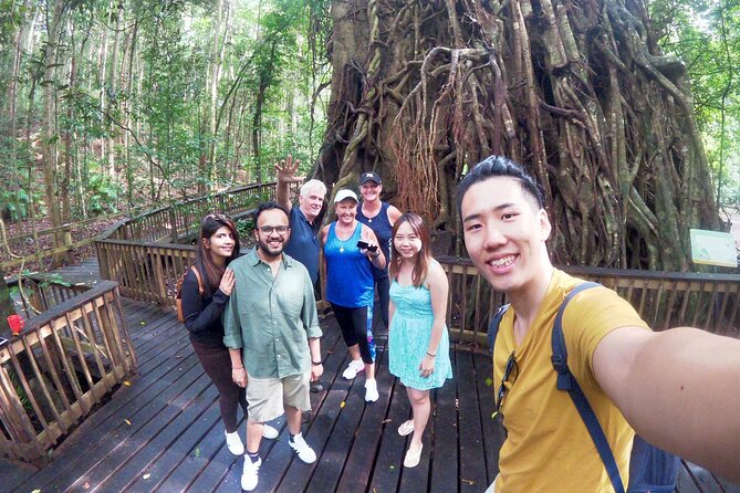 Cairns 4WD Rainforest Waterfall Tour Including a GBR Island Tour - Reviews and Ratings