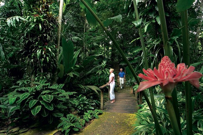 Cairns City Sights and Surrounds Tour - Tour Highlights and Itinerary