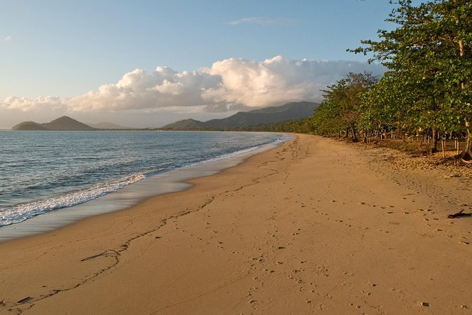 Cairns Reef/Rainforest : Daintree Rainforest & Great Barrier Reef - Included Activities