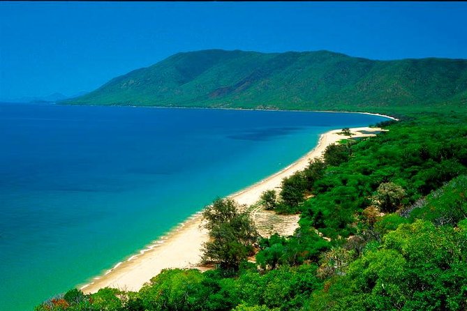 Cairns to Daintree Rainforest Park Private Day Tour With Lunch  - Cairns & the Tropical North - Additional Tour Details