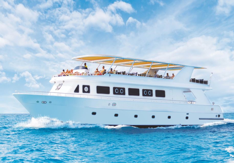 Cairo: Luxury Snorkeling Cruise & Lunch With Optional Pickup - Inclusions