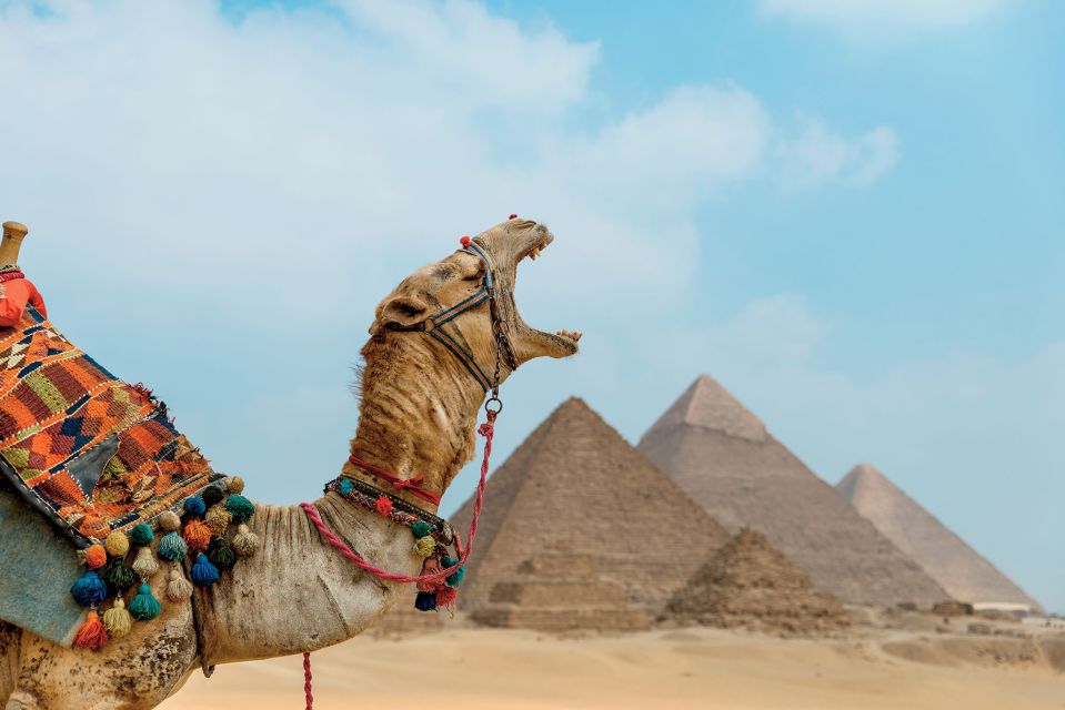 3 cairo pyramids egyptian museum and citadel tour with lunch Cairo: Pyramids, Egyptian Museum and Citadel Tour With Lunch
