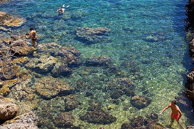 Cala Salada and Unspoiled North Beach Tour. Snorkelling and Aquarium - Negative Feedback and Challenges