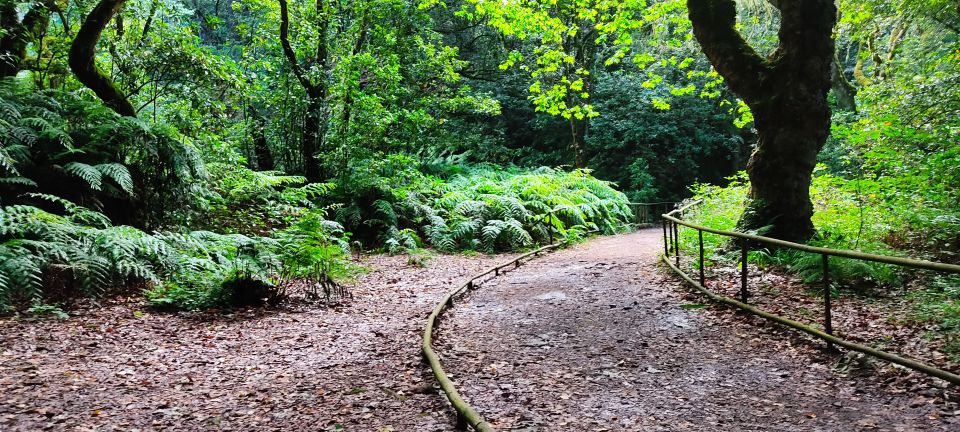 Caldeirão Verde Levada: Roundtrip Transfer & Hike - Customer Reviews