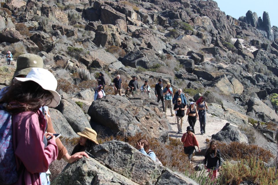 Caleta Los Hornos: Hiking Archaeological Sites - Activity Duration and Start Times